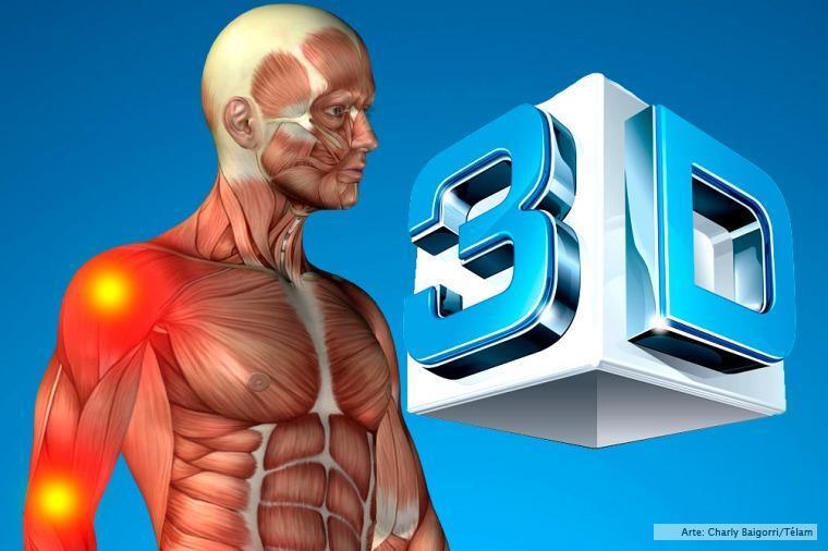 Imagen de El estudio de la anatomía será digital y en 3D