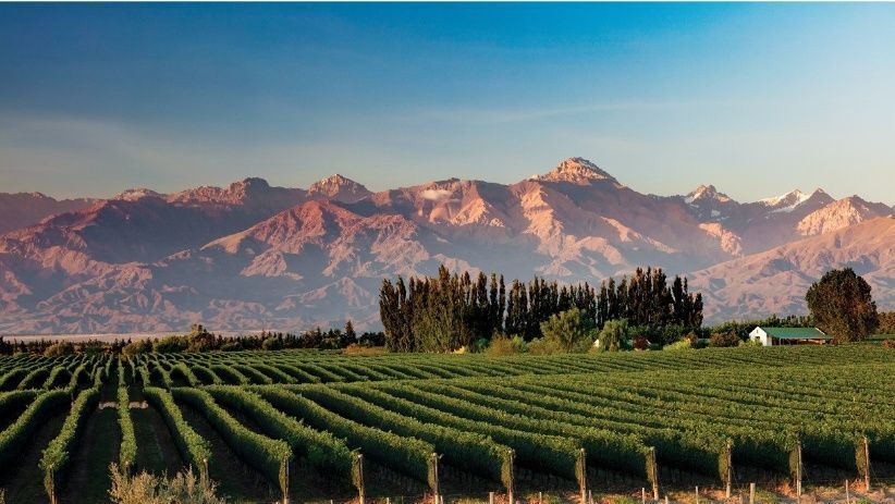Imagen de Mendoza entre las mejores destinos para visitar en 2020