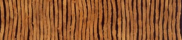 Imagen de Muestra Agujeros Negros. Pinturas y cerámicas