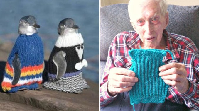 Imagen de A sus 109 años vive para tejer suéteres a pingüinos
