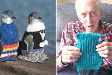 Imagen de A sus 109 años vive para tejer suéteres a pingüinos