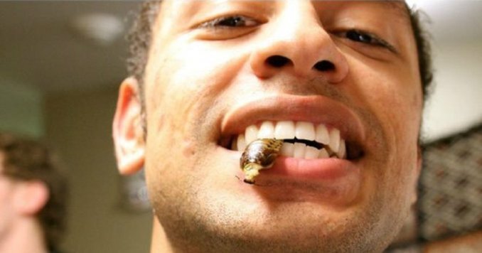 Imagen de Un estudiante pasó un mes comiendo insectos