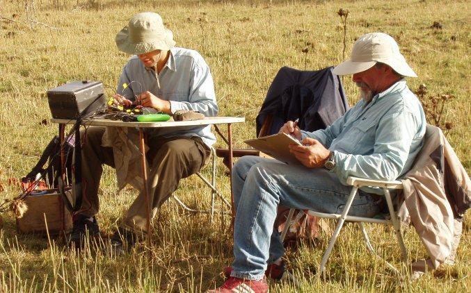 Imagen de &iquest;Cu&aacute;l carrera tiene mejor salida laboral en el pa&iacute;s?