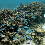 Los 12 paraísos naturales que están escondidos