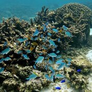 Los 12 para&iacute;sos naturales que est&aacute;n escondidos
