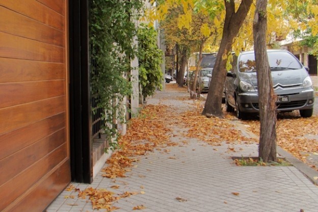 Imagen de El otoño y la importancia de barrer la vereda