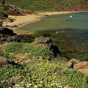 Cala Pilar, Menorca. / T. BALAGUER