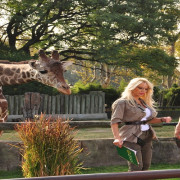Locos Sueltos en el Zoo