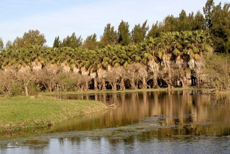 Imagen de Rosario, en pleno renacer turístico y prepara temporada