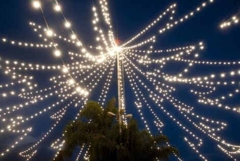 Imagen de El árbol en Pellegrini y Oroño una postal de la Navidad