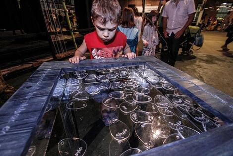 La Isla de los Inventos reabrió sus puertas totalmente renovada Creditos: Sec. de Cultura y Educación (Guillermo Turin)