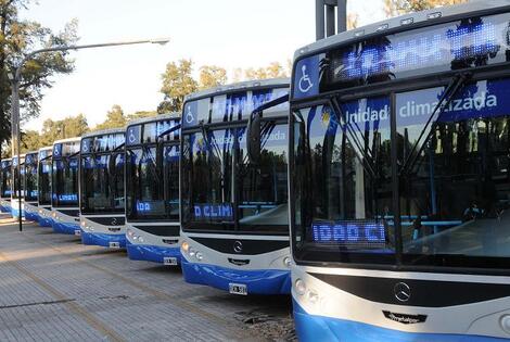 Imagen de El transporte público de pasajeros con 38 nuevas unidades