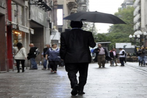 Imagen de Temporal: hay anegamientos temporarios y &aacute;rboles ca&iacute;dos