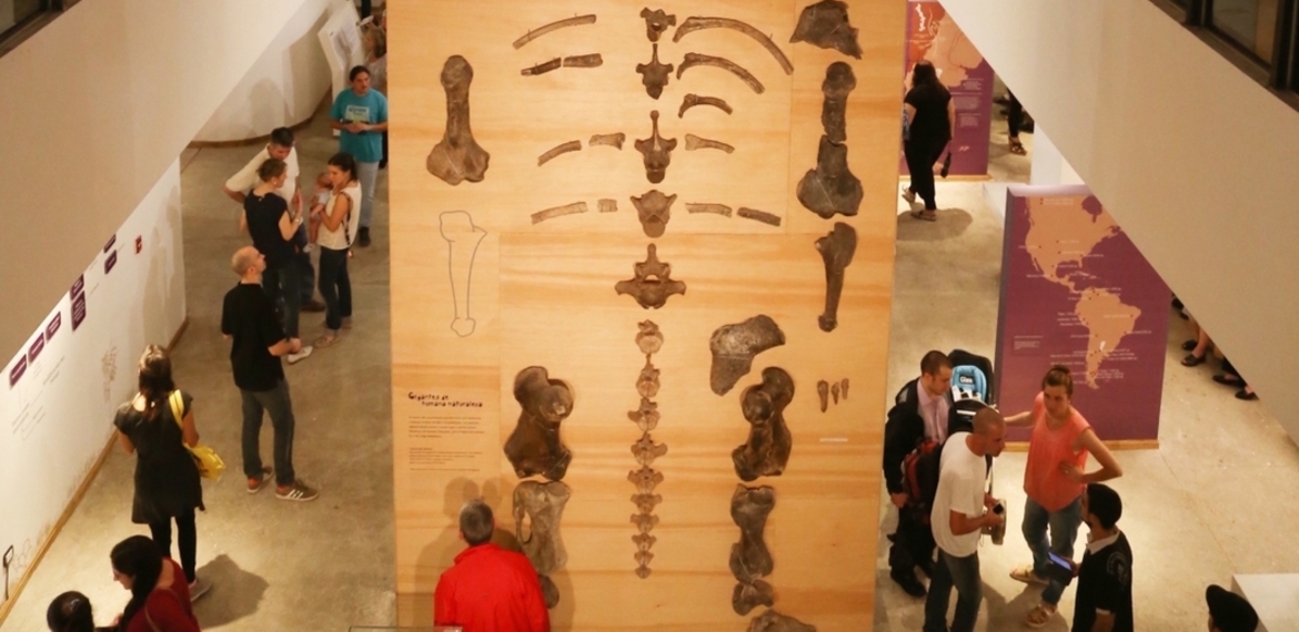 Imagen de El Museo Gallardo reabrió sus puertas