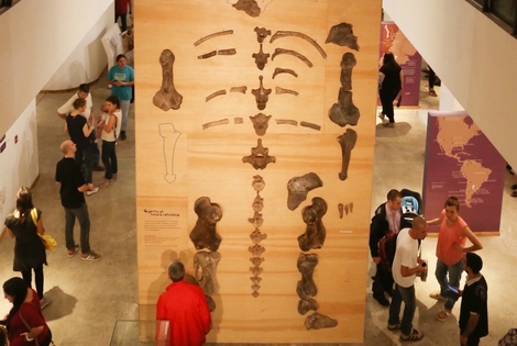 Imagen de El Museo Gallardo reabri&oacute; sus puertas