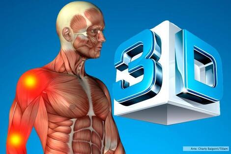Imagen de El estudio de la anatomía será digital y en 3D Imagen de El estudio de la anatomía será digital y en 3D