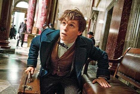 Imagen de La precuela de Harry Potter cada vez más cerca Imagen de La precuela de Harry Potter cada vez más cerca