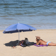 Punta Del Este. Créditos: WILLY DONZELLI