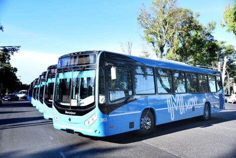 Imagen de Avanza el nuevo sistema de transporte público