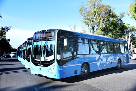 Imagen de Avanza el nuevo sistema de transporte p&uacute;blico