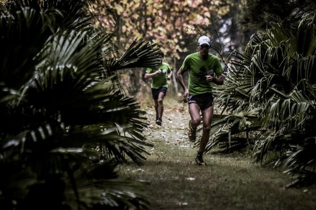 Imagen de Abrió la inscripción para el Maratón del Bosque 2017 Imagen de Abrió la inscripción para el Maratón del Bosque 2017