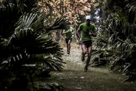 Imagen de Abrió la inscripción para el Maratón del Bosque 2017