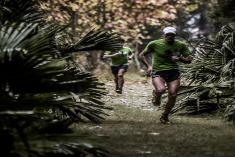 Imagen de Abri&oacute; la inscripci&oacute;n para el Marat&oacute;n del Bosque 2017