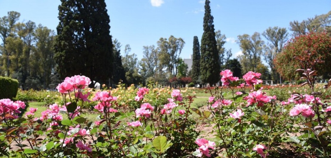Imagen de Rosarinas y rosarinos podr&aacute;n casarse en el Rosedal