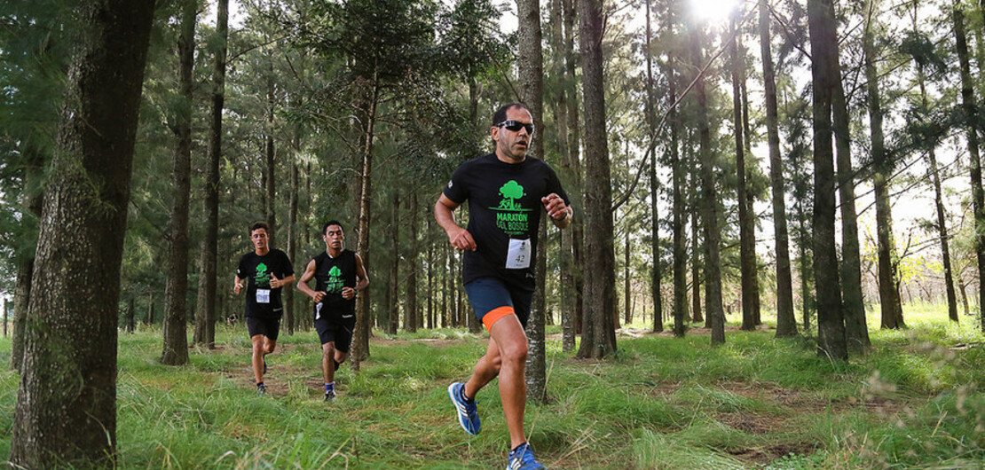 Imagen de Llega una nueva edición de Maratón del Bosque