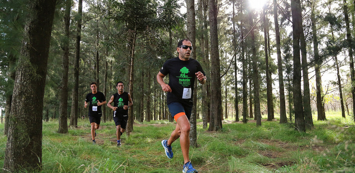 Imagen de Llega una nueva edición de Maratón del Bosque Imagen de Llega una nueva edición de Maratón del Bosque