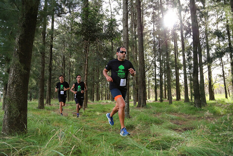 Imagen de Llega una nueva edici&oacute;n de Marat&oacute;n del Bosque