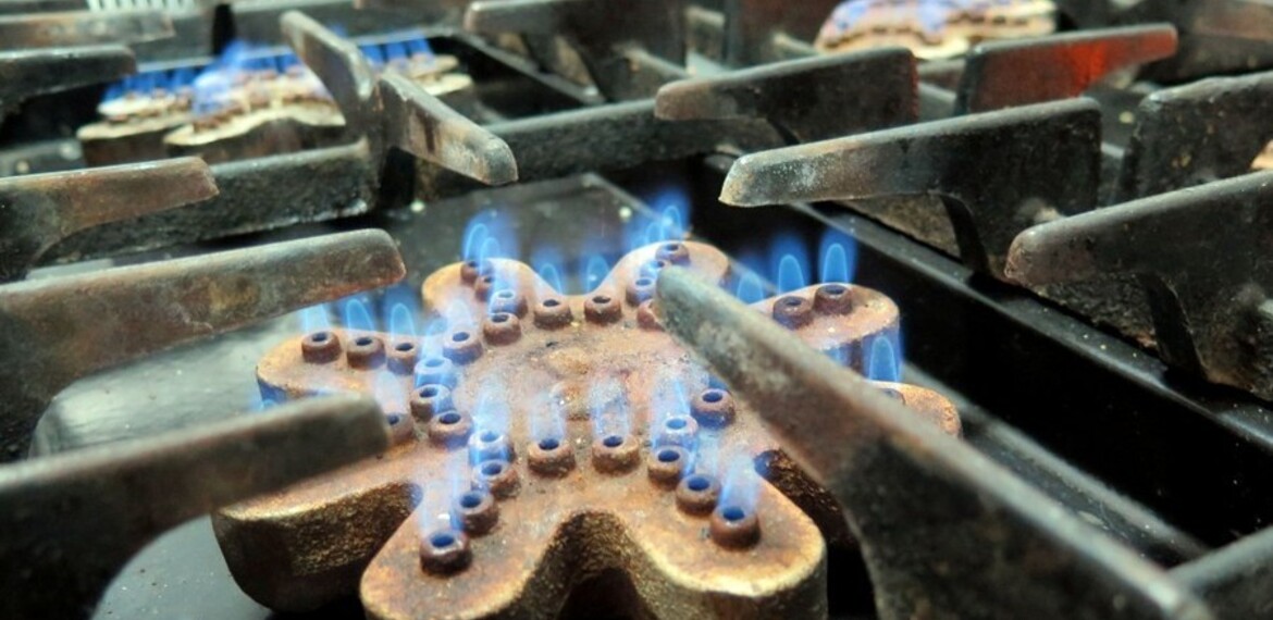 Imagen de Enfermedades respiratorias e intoxicaciones Imagen de Enfermedades respiratorias e intoxicaciones