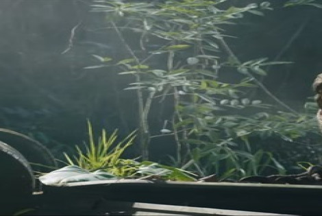 Imagen de Seis estrenos renuevan la cartelera cinematogr&aacute;fica