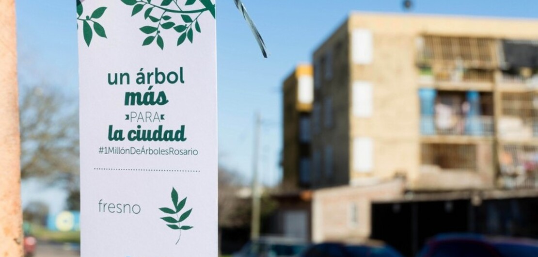 Imagen de Rosario festeja la Semana del Árbol