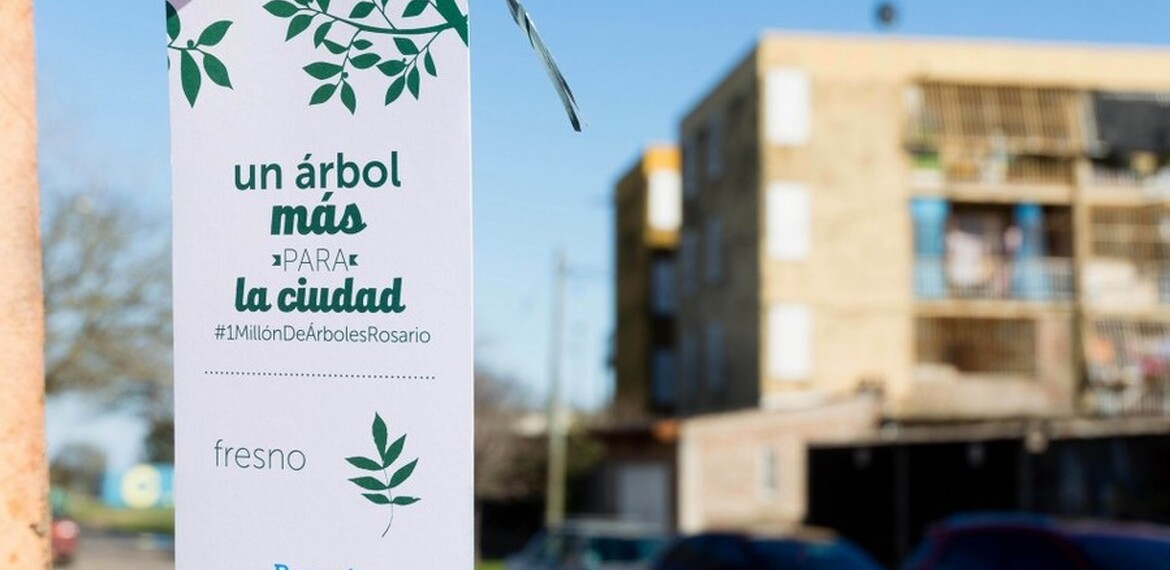 Imagen de Rosario festeja la Semana del Árbol Imagen de Rosario festeja la Semana del Árbol