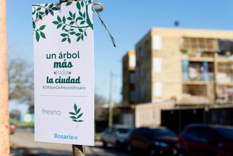 Imagen de Rosario festeja la Semana del Árbol