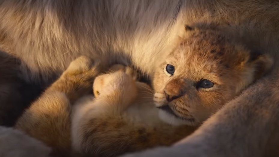 Imagen de La remake de El Rey León: el espectacular nuevo trailer Imagen de La remake de El Rey León: el espectacular nuevo trailer