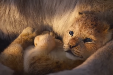 Imagen de La remake de El Rey León: el espectacular nuevo trailer