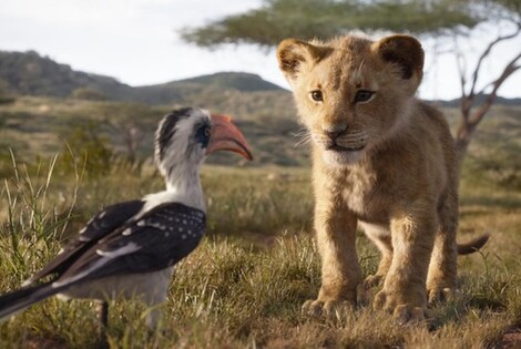 Imagen de El Rey Le&oacute;n, uno de los estrenos m&aacute;s esperados
