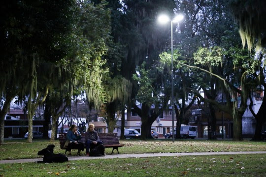 Creditos: Secretar&iacute;a de Ambiente y Espacio P&uacute;blico