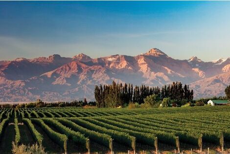 Imagen de Mendoza entre las mejores destinos para visitar en 2020
