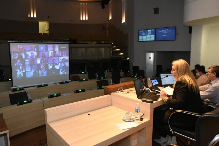 Imagen de Sesión virtual del Concejo Municipal por la pandemia