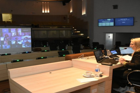 Imagen de Sesi&oacute;n virtual del Concejo Municipal por la pandemia