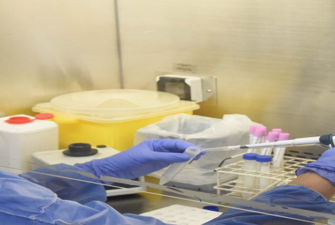 Imagen de Rosario sin casos positivos de coronavirus en ocho días Imagen de Rosario sin casos positivos de coronavirus en ocho días