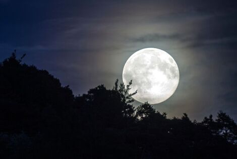 Imagen de La superluna de 2020, ¿Cuando se podrá ver?