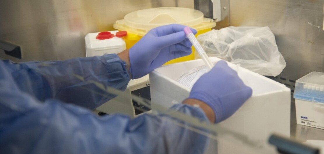 Coronavirus Laboratorio CEMAR - Sec. de Salud P&uacute;blica (Guillermo Fern&aacute;ndez)