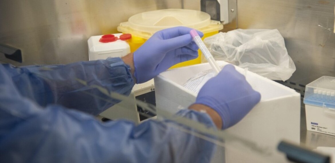 Coronavirus Laboratorio CEMAR - Sec. de Salud Pública (Guillermo Fernández)
