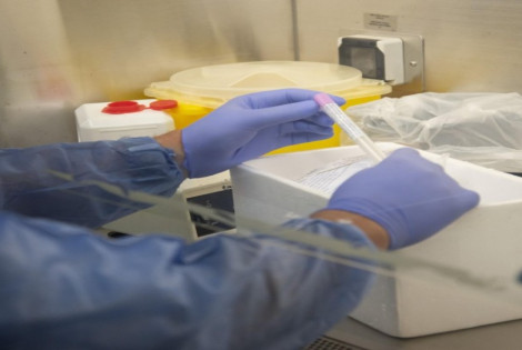 Coronavirus Laboratorio CEMAR - Sec. de Salud P&uacute;blica (Guillermo Fern&aacute;ndez)