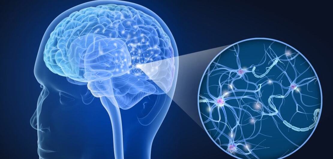 Imagen de Presentan estudio santafesino sobre prevalencia Imagen de Presentan estudio santafesino sobre prevalencia