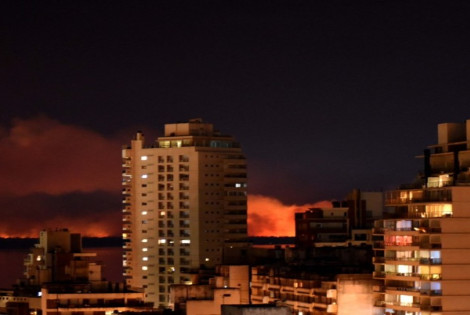 Incendio en las islas - Subsecretar&iacute;a de Comunicaci&oacute;n Social (Silvio Moriconi)